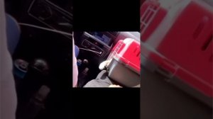 подборка видео с котиками