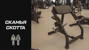 Тренажёр скамья Скотта: что это такое и как пользоваться оборудованием?