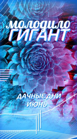 Новое гигантское молодило