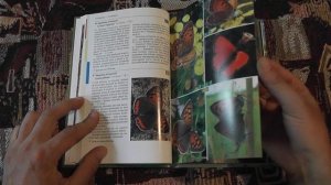 "Дневные бабочки Центральной России" (Д.В.Моргун, И.Г.Устьянцев, 2025)