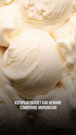 НОВЫЕ АРОМАТЫ 2025