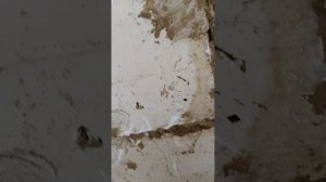 1000023350.mp4
