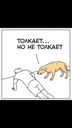 ПЁСИК В ШОКЕ #Прикол #топ