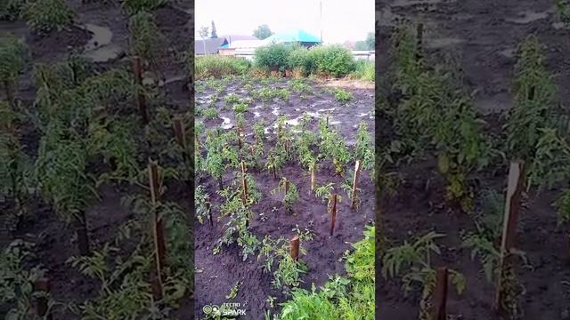 Прошел сильный ливень с градом