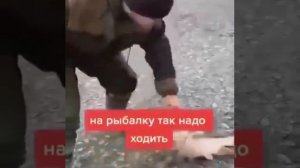 Вот как надо на рыбалку ходить