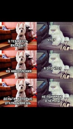 Новый мем про накопления