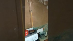 1000023320.mp4