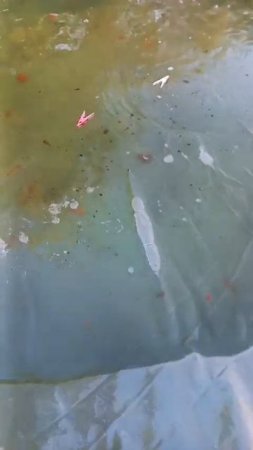 благодарю за каждый миг своей жизни