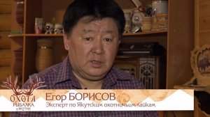 Якутская охотничья лайка. Интервью Егора Борисова