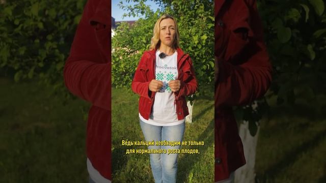 Очень важная обработка сада в июле сохранит вам урожай! Не пропустите!