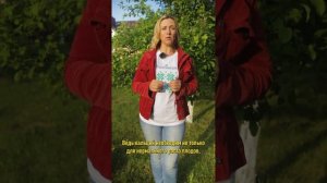 Очень важная обработка сада в июле сохранит вам урожай! Не пропустите!