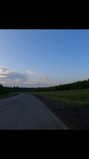 «Метаморфозы шага»