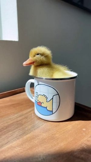 С началом нового летнего месяца! 🌷
