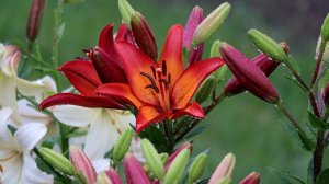 Вечная память героям!