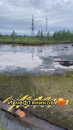 Почувствуй разницу