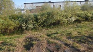 Прогуливаюсь 30 06 2025 8