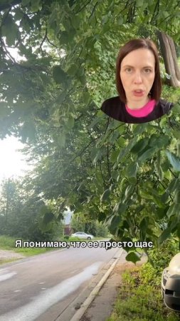 Собираю травы