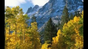 Привязанность