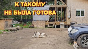 Ужас что там творится/как с ними боротся/приехали к нам на помощь/поймали щуку на северной двине.