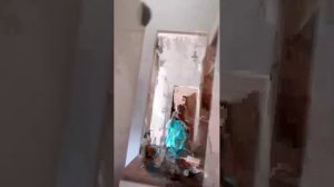 1 стрим!!!!!