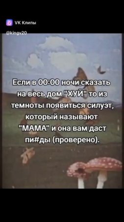 #пжактив #мем пойду проверю!