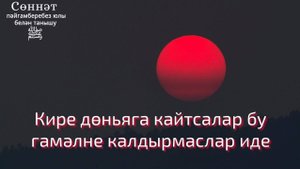 Кире дөньяга кайтсалар бу гамәлне калдырмаслар иде | Рамил Гәйнетдинов
