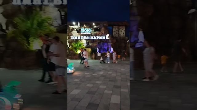 Парк в Лазаревском, колесо обозрения, дельфинарий Колизей, пингвинарий Лазаревское вечером,центр