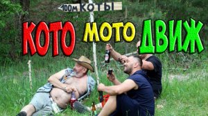 Кото Мото Движ 2025