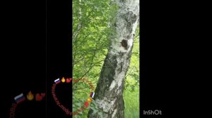 Лето России. Татьяна Ярош-Агапитова.