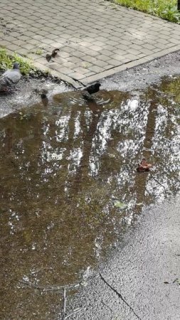 водные процедуры
