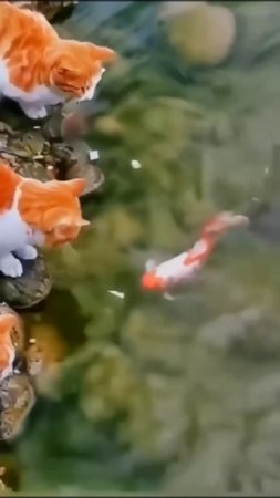 На рыбалку как на праздник