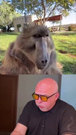 🧬 Эволюция — дело тонкое