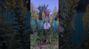 Природа дала нам всё, чтобы поддерживать наше здоровье в порядке♥️