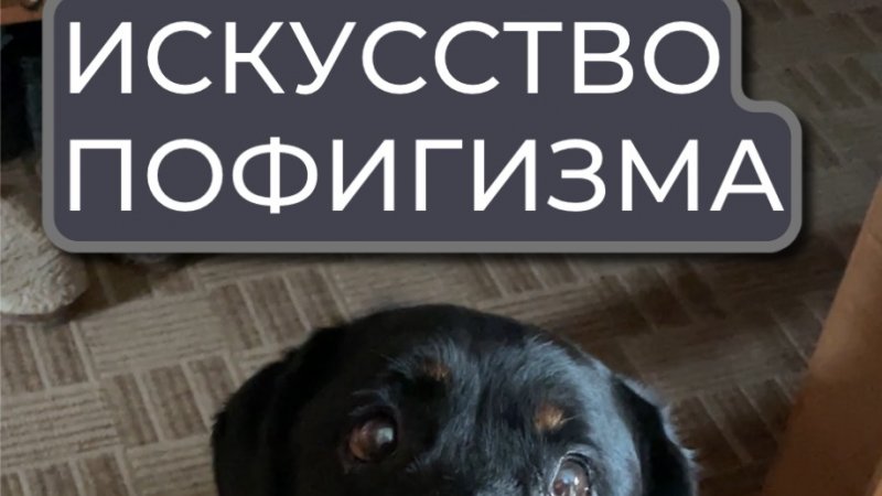 Мои мысли о книге "искусство пофигизма"