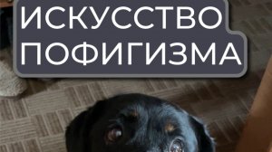 Мои мысли о книге "искусство пофигизма"