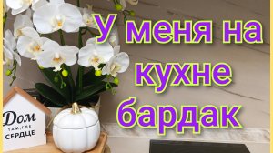 У меня на кухне БАРДАК/Супчик свежеварочка/