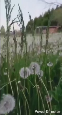 Страшный грех-недовольство