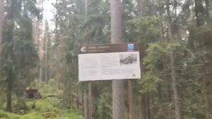 Гром камень под Выборгом