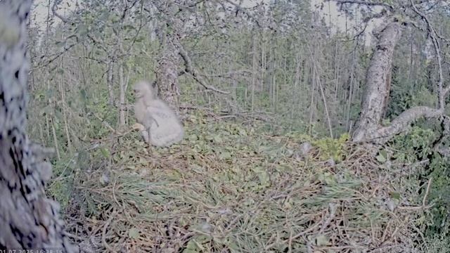Запись_2025_07_01_16_37_22_690