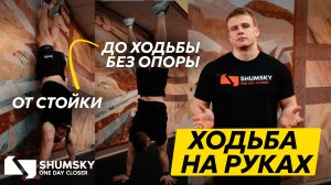 Как научиться ходить на руках: простая прогрессия от стены до свободной ходьбы🤸♂️