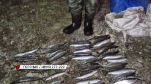 В Бурятии нашли боевую гранату времён первой мировой войны