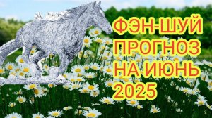 ФЭН-ШУЙ ПРОГНОЗ НА ИЮНЬ 2025🐴 МЕСЯЦ ВОДНОЙ ЛОШАДИ#6