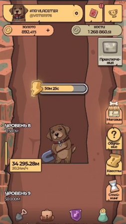 Обучалка
📌 Попробовать Labrador Adventures:
🔗 https://t.me/LabradorAdventuresBot/start?star