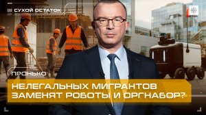 Пронько: Нелегальных мигрантов заменят роботы и оргнабор?
