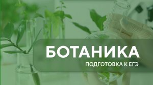 Ботаника. ЕГЭ биология. Урок 1