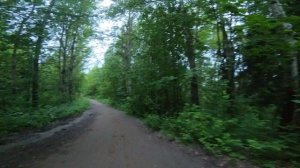 Прогулки укрепляют здоровье. I'll find a way out soon
