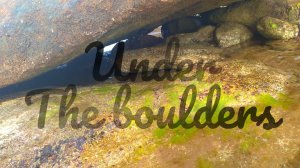 Under the boulders