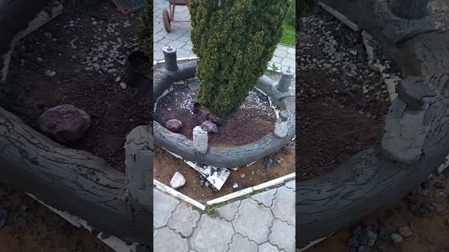 оформление приствольного круга