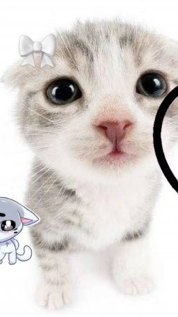 ты знаешь, кому это отправить))💕🐈