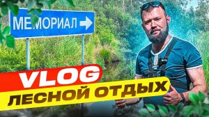 VLOG Лесной отдых